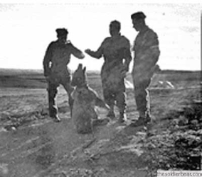 Young Wojtek with his friends, Iraq 1942
